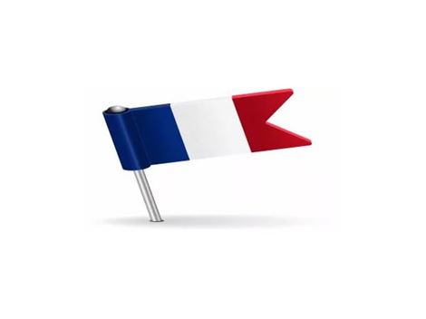 Onde Estudar Idioma Francês on Line com Professores Nativos